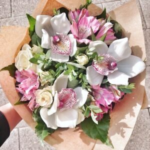 🌸 Orchidaceae (Orchid Flowers)