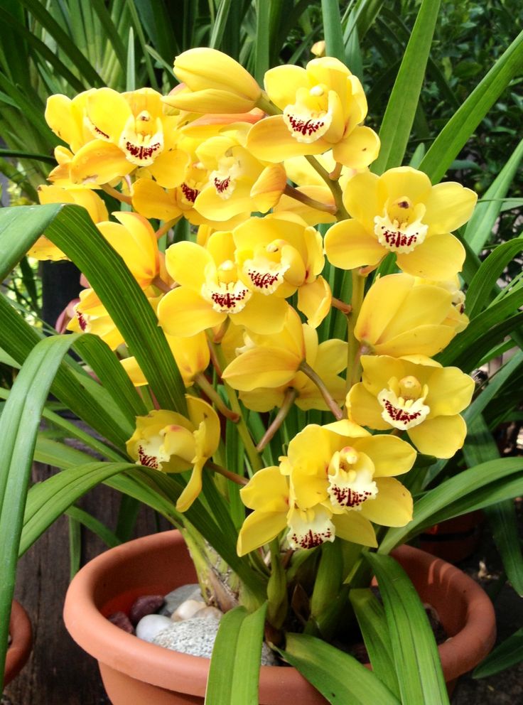 45a3eaca5edbd62f136ec434a7b5ea2f