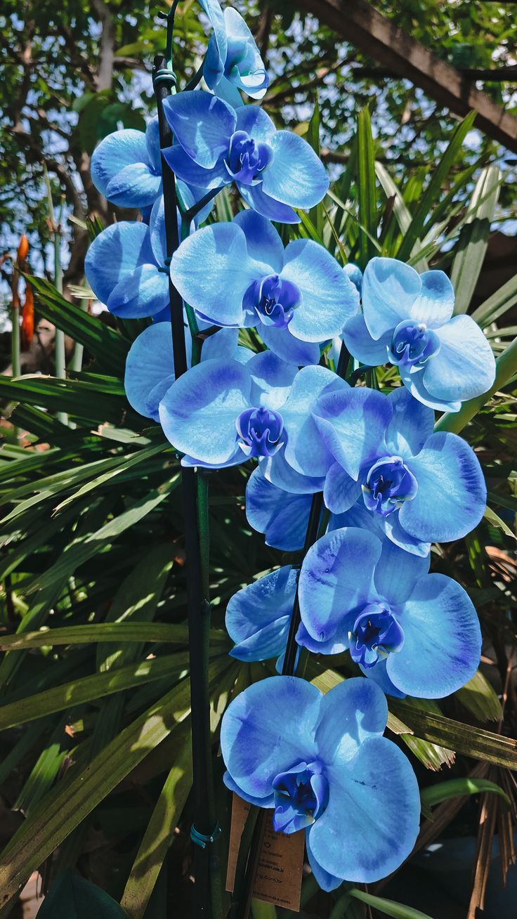 47e7a1f5c88cd5733f6194b28e309ef2