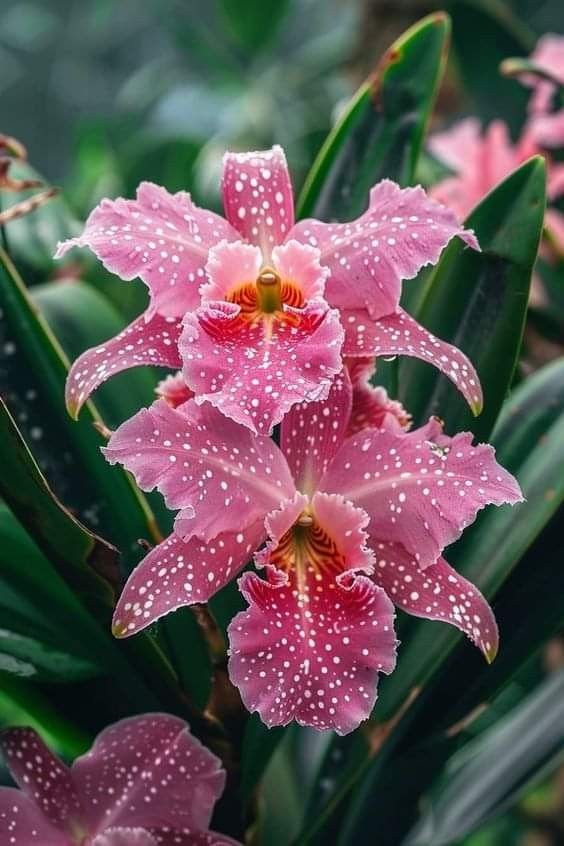 98bbaa4ae3d3f086c326de6391fac422