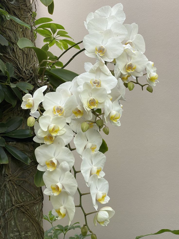 b696683f56f46335f000fe0e609061c4